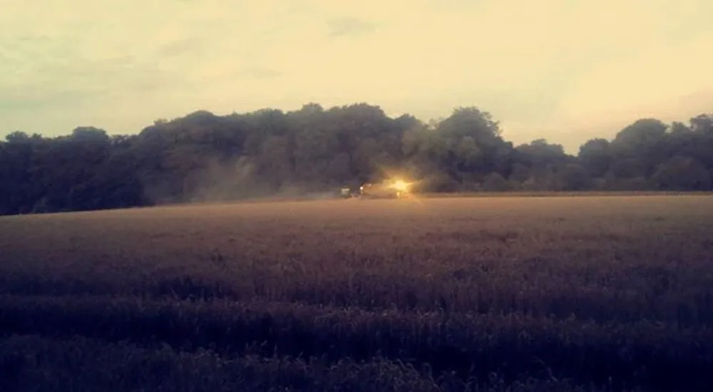 Post-harvest grain spoilage reduction for agriculture using IoT sensing and machine learning featured image